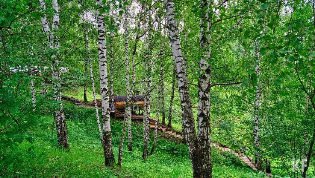 В республике открыто 193 ООТП.