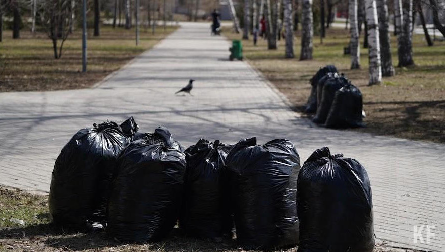 Также в рамках экологической акции пройдет пикник
