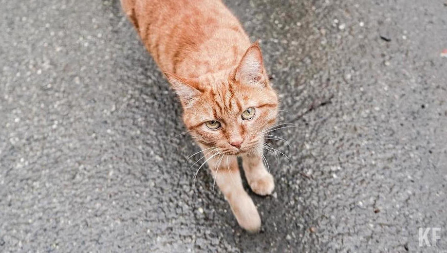 По словам местных жителей