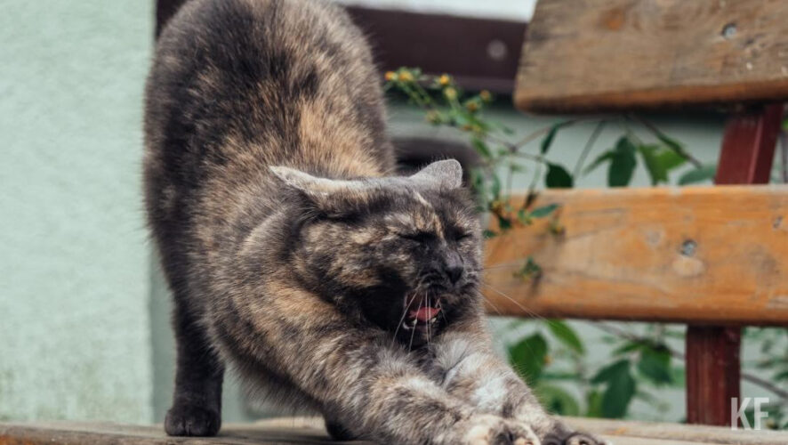 Новый праздник поспособствует развитию событийного туризма.