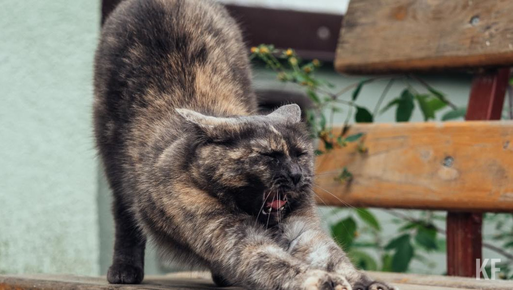Новый праздник поспособствует развитию событийного туризма.