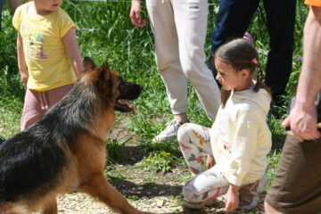Казанцы собрали для собак из приютов 65 килограмм корма и 8 тысяч рублей.