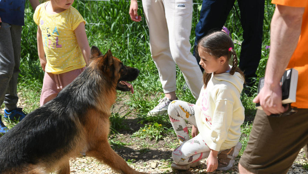 Казанцы собрали для собак из приютов 65 килограмм корма и 8 тысяч рублей.