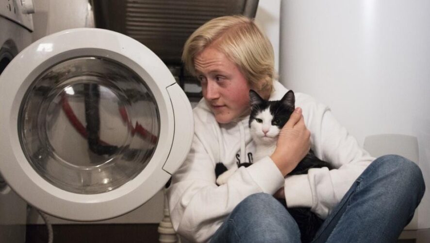В Осло кот по кличке Зеро случайно попал в стиральную машину и пережил сорок минут стирки при температуре 30 градусов в режиме для шерсти