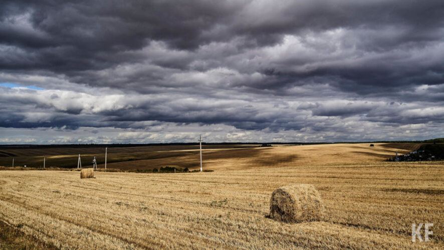 Лидерами рейтинга стали Тетюшский