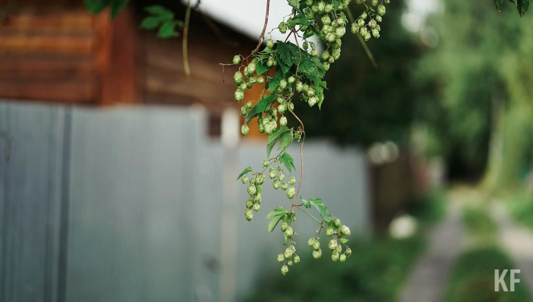 Новогодние праздники могут сократить на четыре дня.