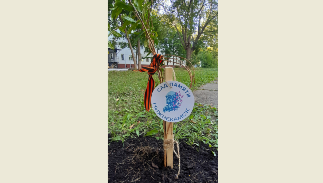 Сад расположился за домом №10 по улице 50 лет Октября.