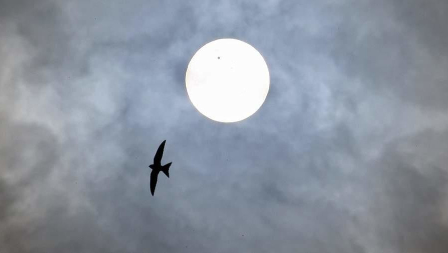 В этот день Юпитер