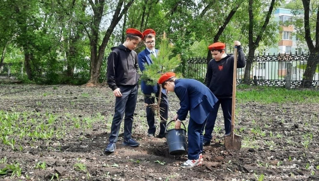 Подобные акции в микрорайонах проходят ежегодно.