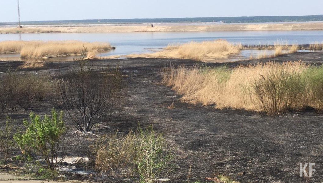 В старой части автограда загорелась трава.