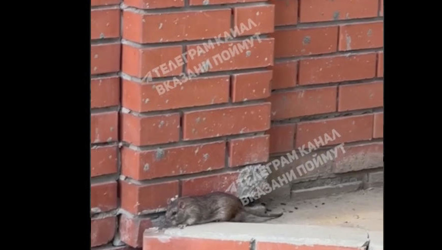 Предположительно