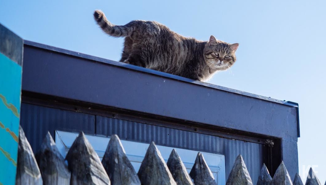 Объект располагается рядом с Казанским Кремлем.