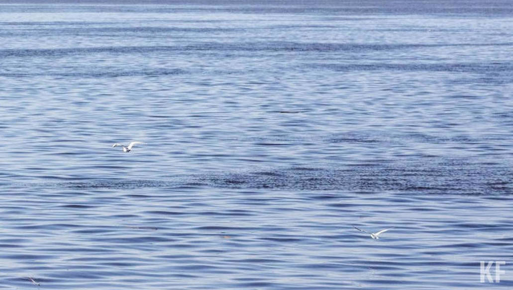 Несмотря на сильное волнение моря