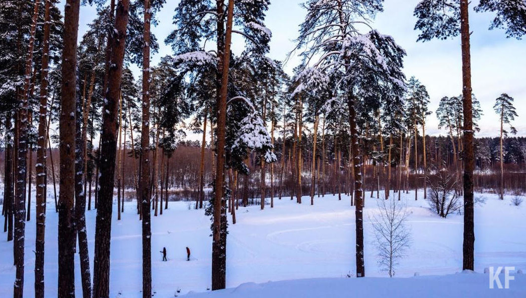 За последний год этот показатель вырос на 20 процентов.