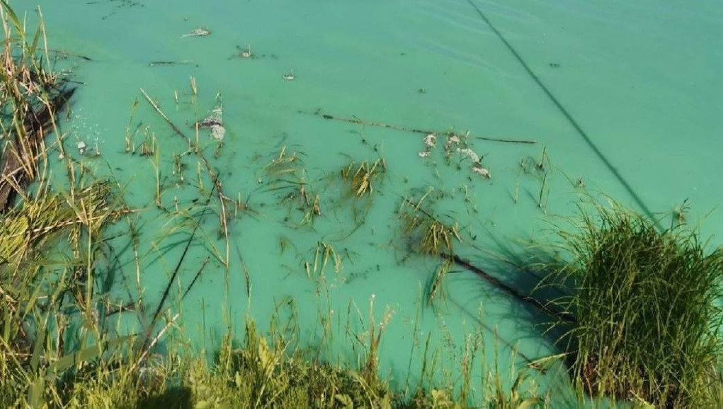 Люди заметили