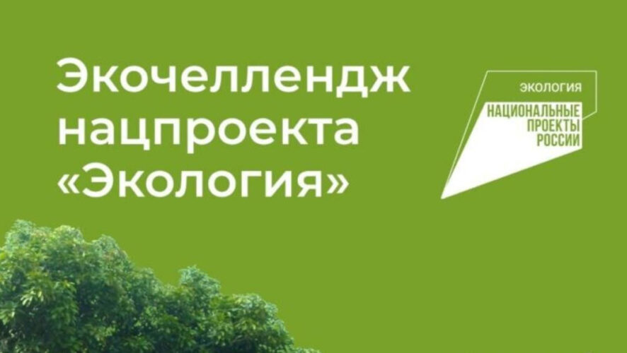 Пользователям предлагается ответить на вопросы в области экологии.