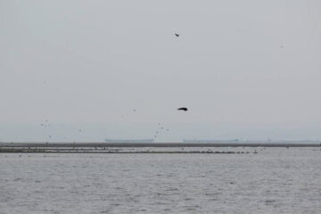 Однако в начале месяца будет ветрено.