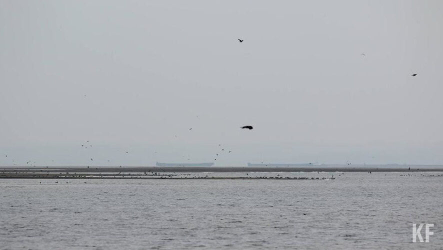 Однако в начале месяца будет ветрено.