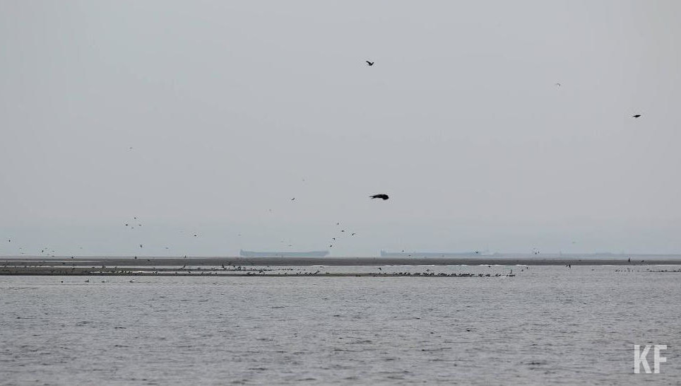 Однако в начале месяца будет ветрено.