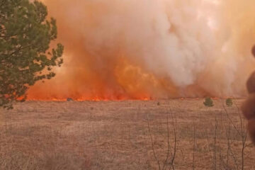 Всего в республике произошло 532 ландшафтных пожара.