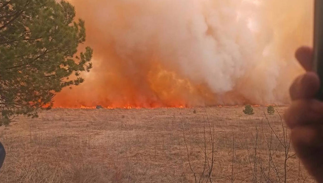 Всего в республике произошло 532 ландшафтных пожара.