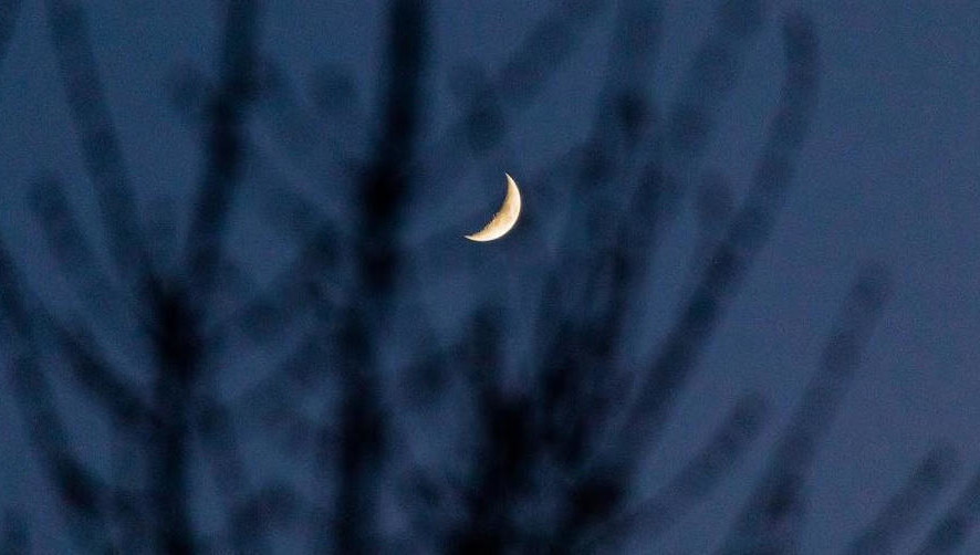 Спутник максимально близко приблизится к Земле.