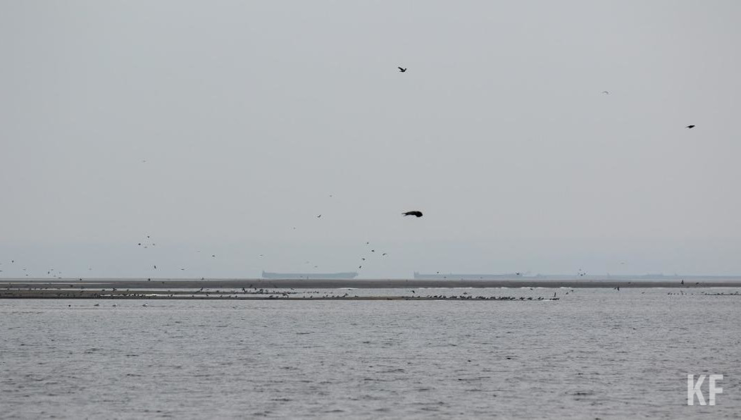 Шестерых человек ищут водолазы.