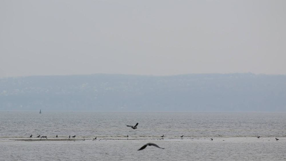 Средства пойдут на ликвидацию объектов накопленного вреда окружающей среде