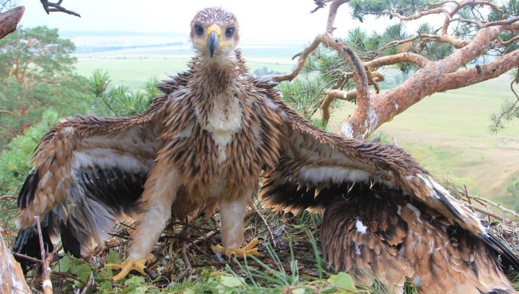 Среди зрителей были латвийцы