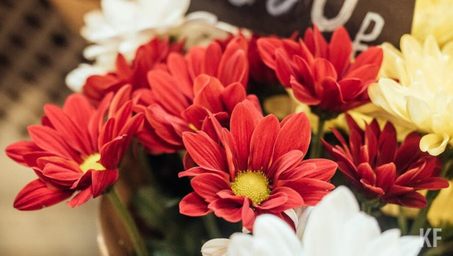 Также установлено