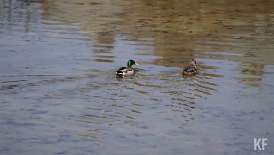 Работы предполагают закончить к началу ноября.