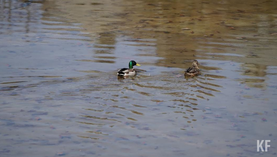 Работы предполагают закончить к началу ноября.