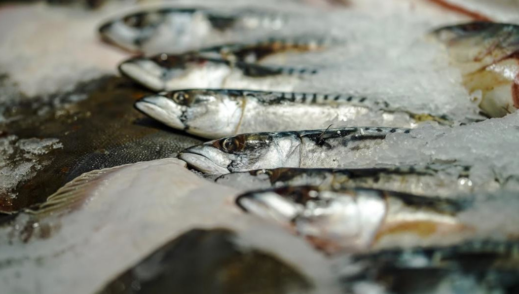 Выяснилось