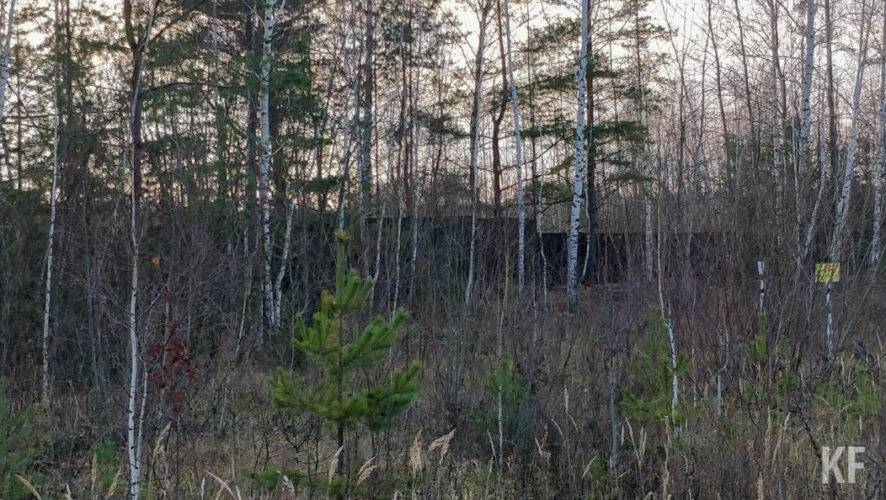 Также температура воздуха станет ниже нуля.