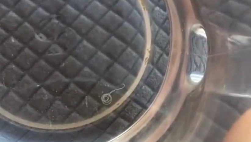 В соцсетях предположили