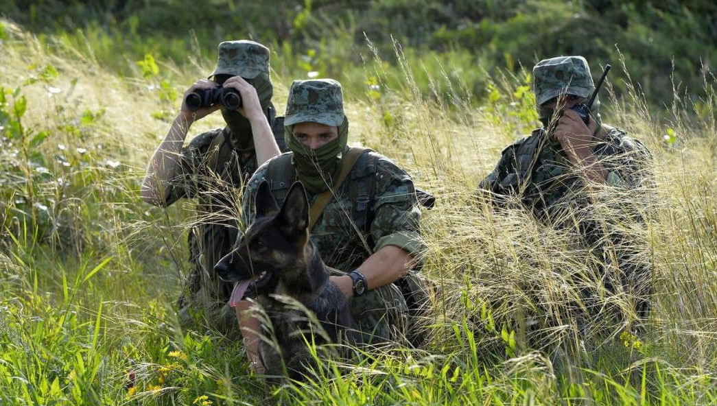 Здесь за сутки уничтожено до 40 военнослужащих Украины