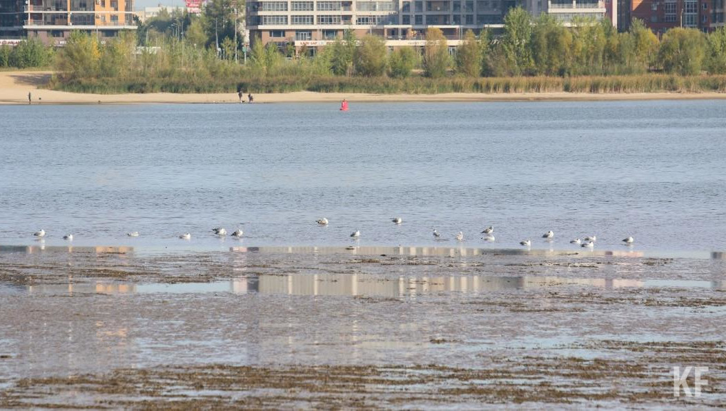 На интернет-портале правовой информации опубликовано постановление.