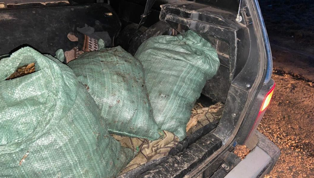 Ущерб биоресурсам составил 61 тысячу рублей.