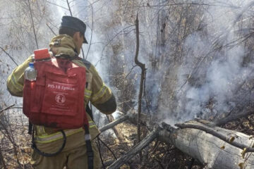 Спасатели республики преградили путь огню у деревни  Росстанье.