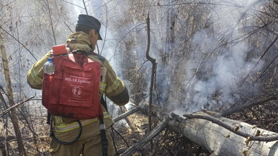 Спасатели республики преградили путь огню у деревни  Росстанье.