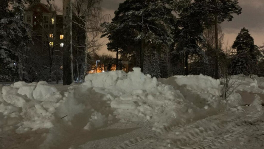В ночь на 3 февраля на территорию приехала техника и начала сносить молодые насаждения.