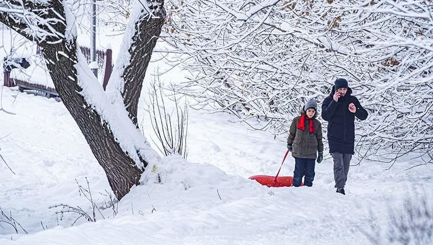 Максимальная высота снежного покрова достигла 56 см.