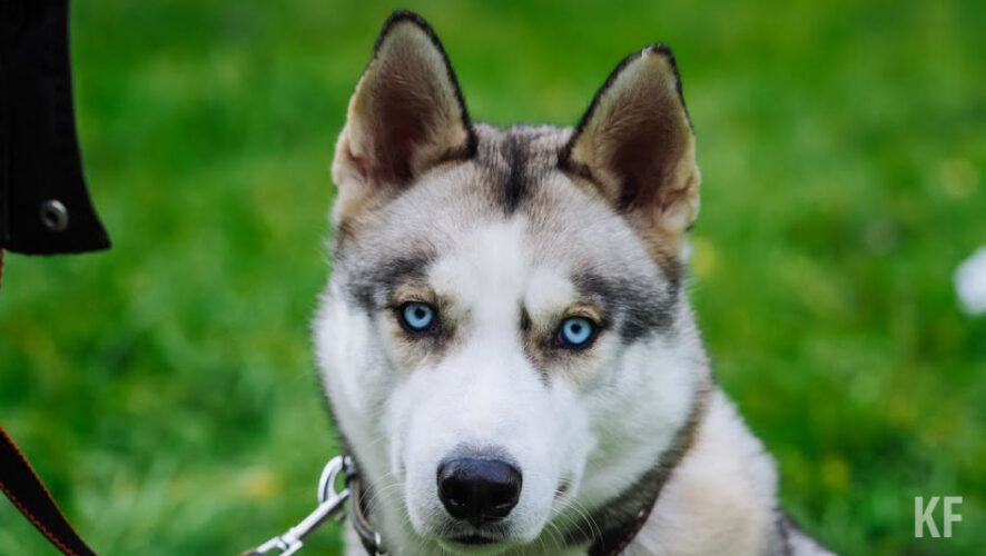 Ребенку потребовалась операция.