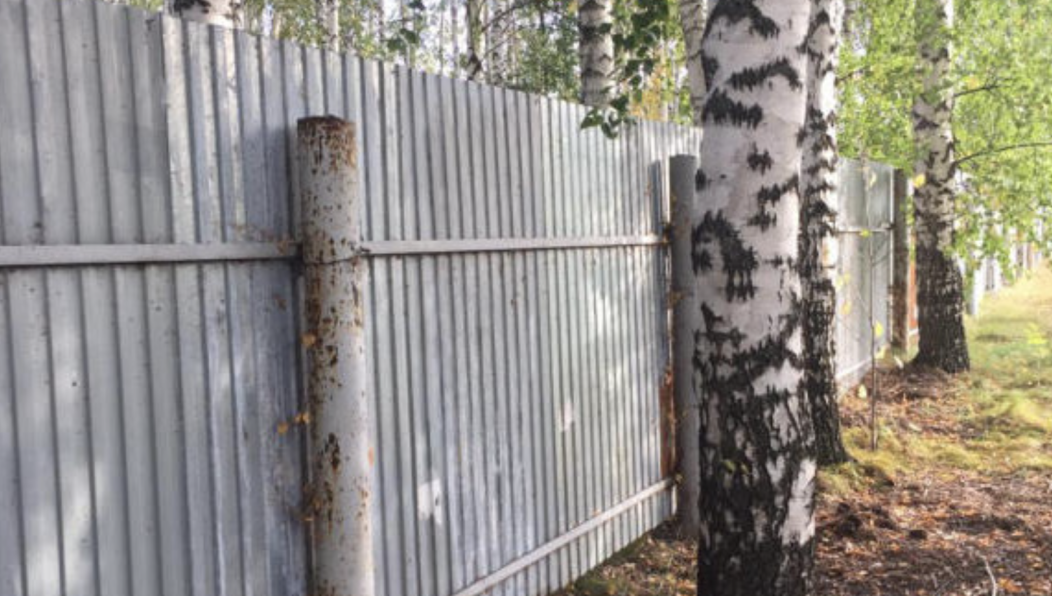 Несмотря на то