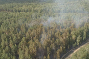 В нацпарке «Нижняя Кама» борются с пожарами второй день.