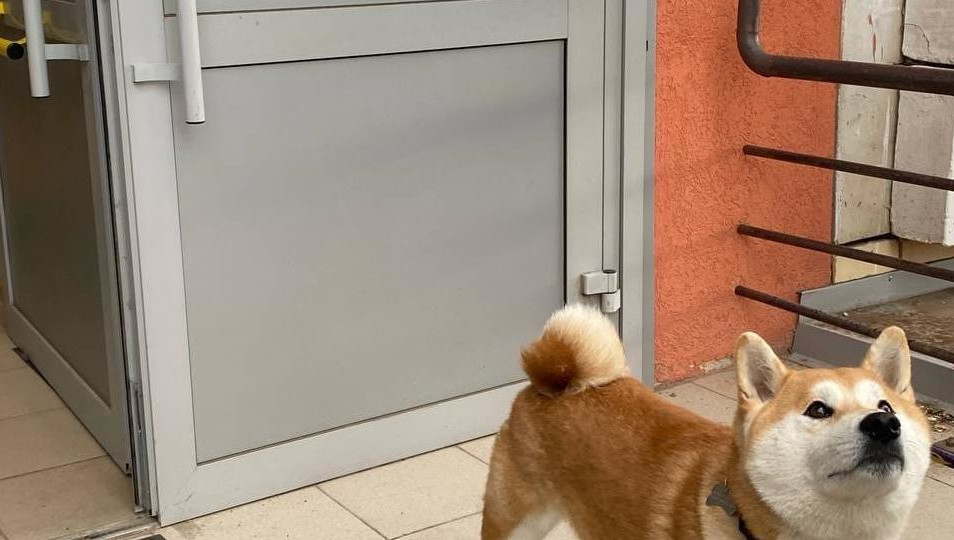 Пункты находятся в различных районах столицы Татарстана.