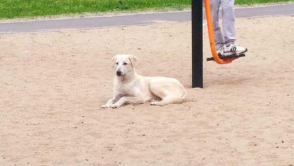 По словам матери пострадавшего