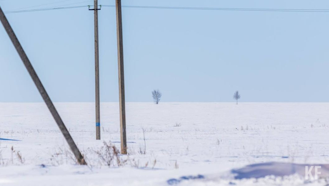 Мужчина обрабатывал химией посадки подсолнечника.
