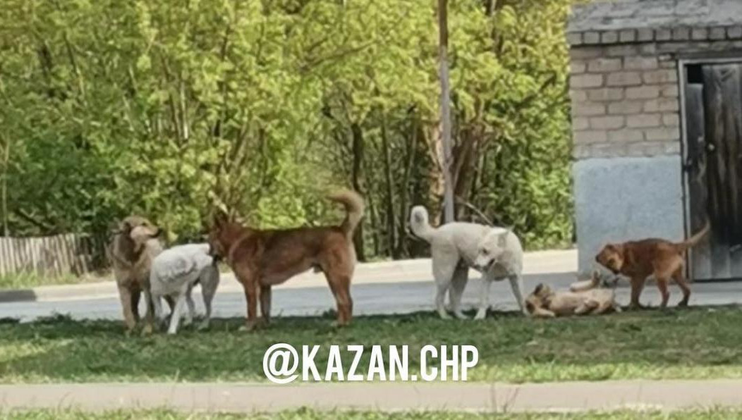 Еще они недоумевают