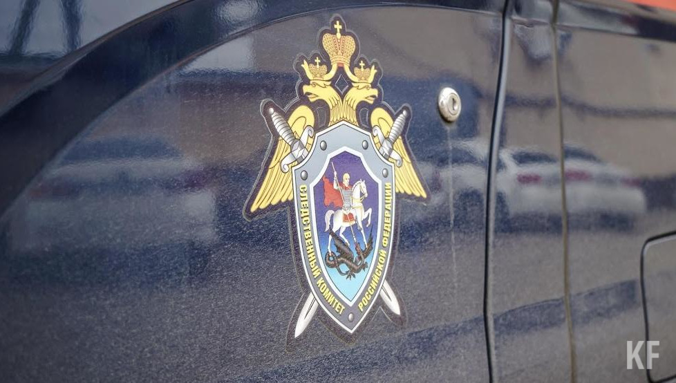 В полицию написал заявление родной отец ребенка.